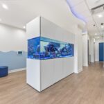 KONQUEST Inc.: Nickel Pediatric Dentistry