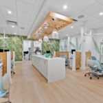 KONQUEST Inc.: Dr. Zoey Orthodontics